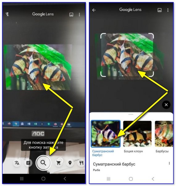 Поиск изображений с телефона Android: ищет похожие изображения и название того, что отображается